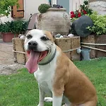 La Corte Penzion 3*