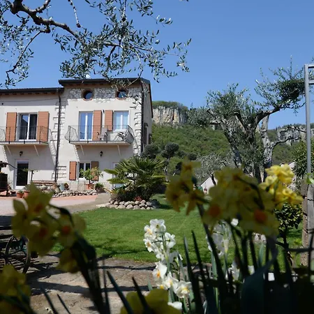 La Corte