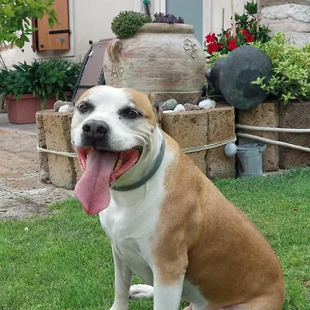 La Corte ゲストハウス 3*