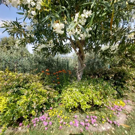 Pensionat La Corte Affi