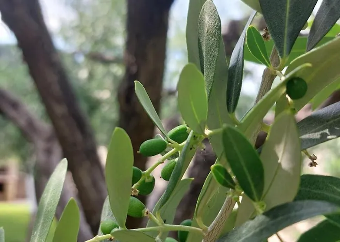 Pensjonat La Corte Affi