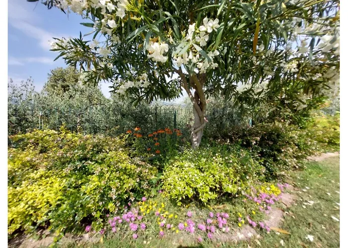 Gasthof La Corte Affi