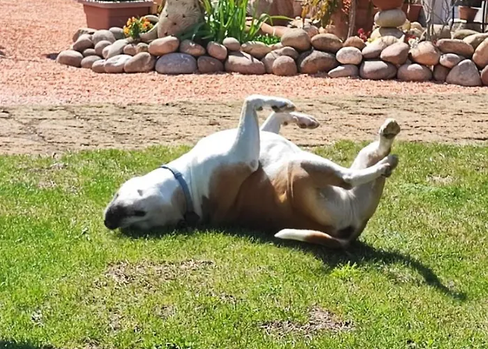 Gasthof La Corte Affi